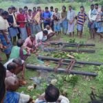 छत्तीसगढ़ का वन विभाग कर रहा है देवगुड़ी स्थलों का संरक्षण और संवर्धन