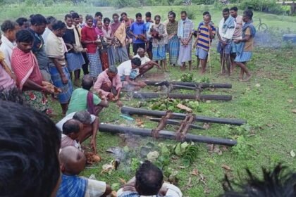 छत्तीसगढ़ का वन विभाग कर रहा है देवगुड़ी स्थलों का संरक्षण और संवर्धन