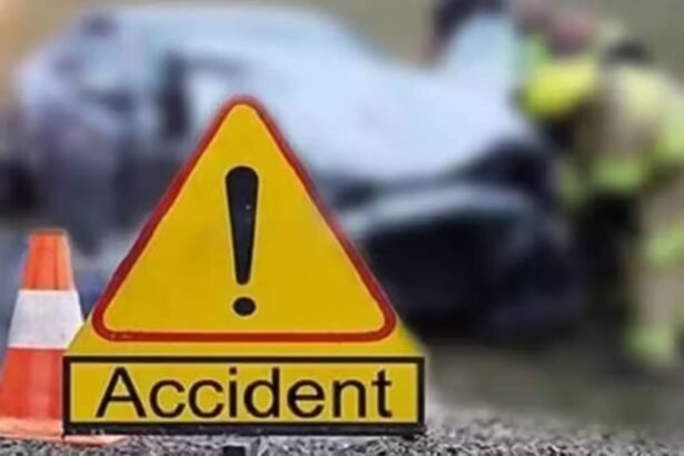 Accident: बेकाबू कार लेकर भीड़ में घूसा ड्राइवर, 35 लोगों की मौत 43 घायल, राष्ट्रपति ने कहा- सख्त सजा मिलेगी