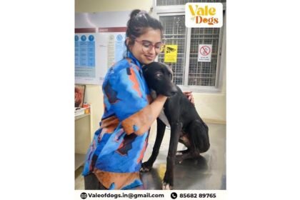 बेज़ुबानों की आवाज़ कौन?