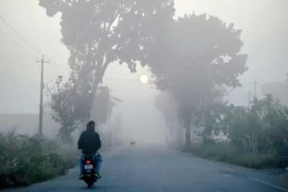 Weather Update: छत्तीसगढ़ के इन भागों में शीतलहर का अलर्ट, बलरामपुर में 3 डिग्री रहा पारा