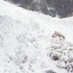 उत्तराखंड के इन तीन जिलों के लिए अगले 24 घंटे भारी, मौसम विभाग ने दी हिमस्खलन की चेतावनी
