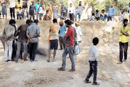 बाड़ी में खून से लथपथ मिला मवेशी का शव, वन विभाग में हड़कंप, ग्रामीणों में दहशत का माहौल