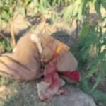 हाईवे से 150 मीटर दूर बोरे में मिली महिला की लाश, जांच में जुटी पुलिस