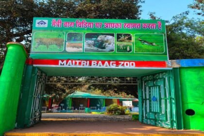 भीषण गर्मी का असर सिर्फ लोगों पर ही नहीं वन्यजीव पर भी, मैत्री बाग प्रबंधन ने तपिश से राहत देने किए व्यापक इंतजाम