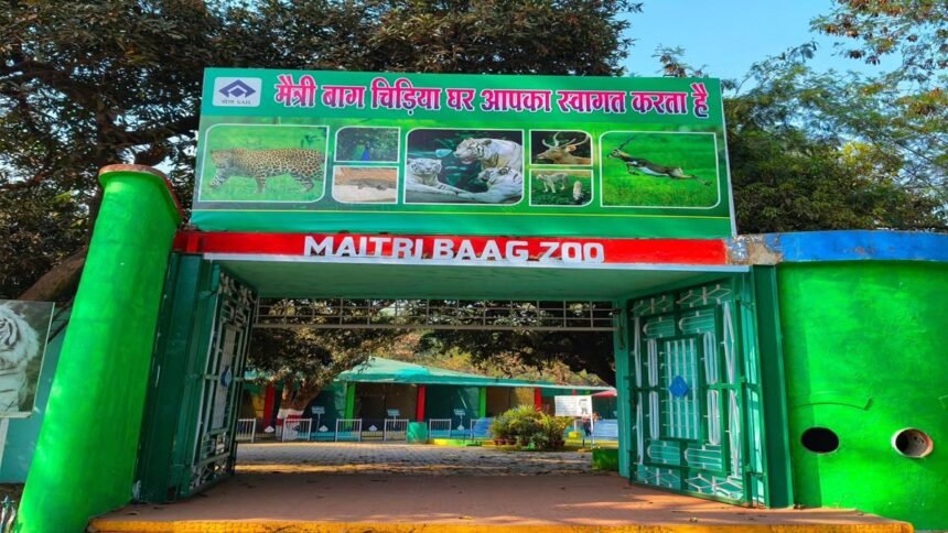 भीषण गर्मी का असर सिर्फ लोगों पर ही नहीं वन्यजीव पर भी, मैत्री बाग प्रबंधन ने तपिश से राहत देने किए व्यापक इंतजाम