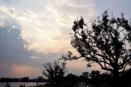 छत्तीसगढ़ के कई जिलों में अंधड़ के साथ बारिश के आसार