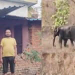 गांव में दहशत: हाथियों का आतंक, दो को कुचलकर मारा और कई घरों की तोड़ी दीवार…वन विभाग करा रहा मुनादी