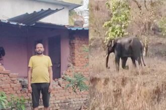 गांव में दहशत: हाथियों का आतंक, दो को कुचलकर मारा और कई घरों की तोड़ी दीवार…वन विभाग करा रहा मुनादी