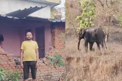 गांव में दहशत: हाथियों का आतंक, दो को कुचलकर मारा और कई घरों की तोड़ी दीवार…वन विभाग करा रहा मुनादी