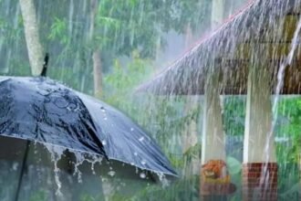 Monsoon Alert: समय से पहले दस्तक दे सकता है मानसून; अगले 4-5 दिनों में मिल सकती है खुशखबरी