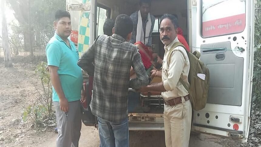 भालू का आतंक: मरवाही में घर के बाहर खड़ी महिला पर किया हमला, गंभीर हालत में अस्पताल में भर्ती