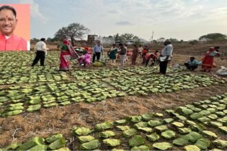 सीएम साय 21 जून को करेंगे प्रदेशव्यापी चरण पादुका योजना का शुभारंभ, जशपुर जिले के तपकरा से होगी शुरूआत