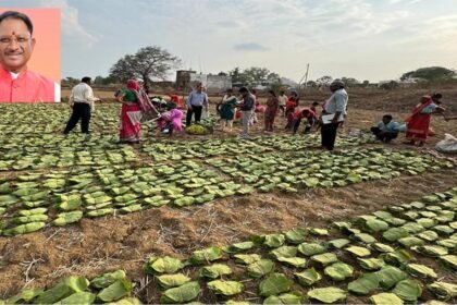 सीएम साय 21 जून को करेंगे प्रदेशव्यापी चरण पादुका योजना का शुभारंभ, जशपुर जिले के तपकरा से होगी शुरूआत