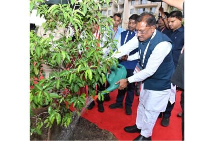मौलश्री के पौधे से महकेगा आईआईएम परिसर, सीएम साय ने किया सुशासन वाटिका का शुभारंभ