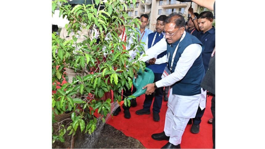 मौलश्री के पौधे से महकेगा आईआईएम परिसर, सीएम साय ने किया सुशासन वाटिका का शुभारंभ