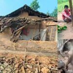 हाथियों का आतंक: तीन के मासूम को पटककर मारा, महिला को कुचला और युवक पर गिराई दिवार, दहशत में लोग