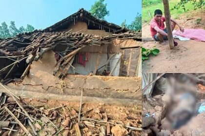 हाथियों का आतंक: तीन के मासूम को पटककर मारा, महिला को कुचला और युवक पर गिराई दिवार, दहशत में लोग