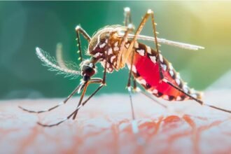 छत्तीसगढ़ में मलेरिया के खिलाफ निर्णायक बढ़त-61.8% बिना लक्षण वाले मरीज समय पर पहचाने गए