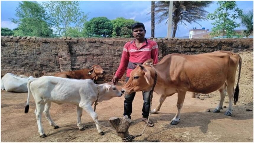 डेयरी उद्यमिता विकास योजना से सुखसागर को मिला आर्थिक स्वावलंबन