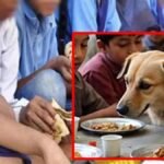 Mid-Day Meal: बच्चों को खिलाया कुत्ते का जुठा खाना, 78 बच्चों को लगाने पड़े एंटी-रेबीज इंजेक्शन