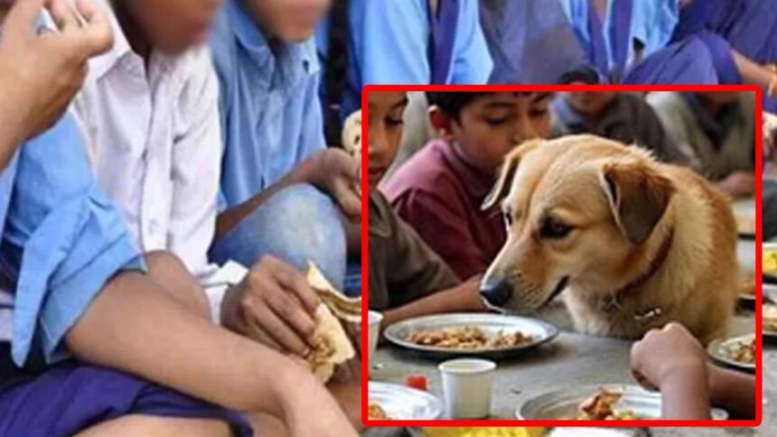 Mid-Day Meal: बच्चों को खिलाया कुत्ते का जुठा खाना, 78 बच्चों को लगाने पड़े एंटी-रेबीज इंजेक्शन