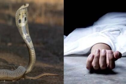सांप ने डसा और परिजन करते रहे झाड़-फूंक, गई महिला की जान; अस्पताल पहुंचने में हुई देर