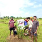 बलौदाबाजार जिले के किसान ऑयल पाम की खेती की ओर अग्रसर