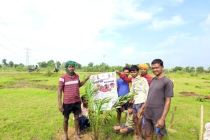 बलौदाबाजार जिले के किसान ऑयल पाम की खेती की ओर अग्रसर