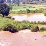 गेरसा बांध क्षतिग्रस्त होने की सूचना पर कलेक्टर, एसपी एवं जिला पंचायत सीईओ पहुंचे मौके पर