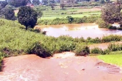 गेरसा बांध क्षतिग्रस्त होने की सूचना पर कलेक्टर, एसपी एवं जिला पंचायत सीईओ पहुंचे मौके पर