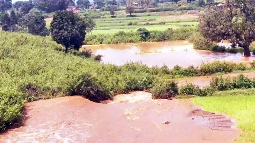गेरसा बांध क्षतिग्रस्त होने की सूचना पर कलेक्टर, एसपी एवं जिला पंचायत सीईओ पहुंचे मौके पर