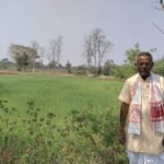 फरसाबहार ने उन्नत तकनीकी से खेती, कम लागत से गेहूं की फसल में किसानों को मिलेगा ज्यादा मुनाफा