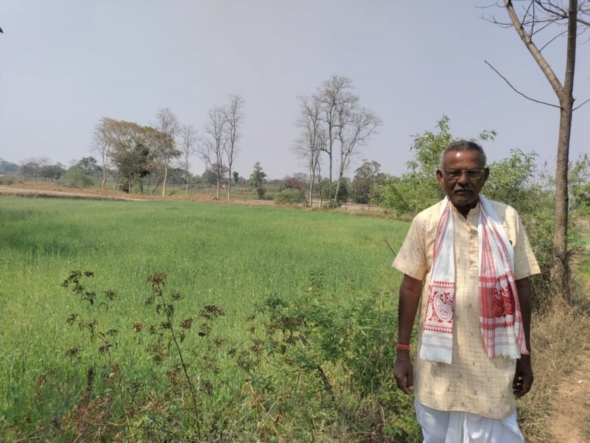 फरसाबहार ने उन्नत तकनीकी से खेती, कम लागत से गेहूं की फसल में किसानों को मिलेगा ज्यादा मुनाफा