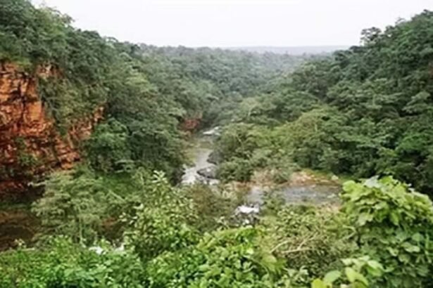 बस्तर के आसना में खुलेगा राज्य का पहला वन विज्ञान केन्द्र, संचालन के लिए सलाहकार समिति बनी