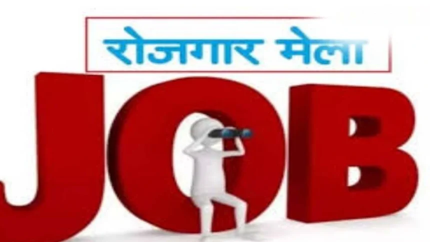 जिले में 20 फरवरी को विशाल रोजगार मेला: निजी क्षेत्र में 50 पदों पर सीधी भर्ती का सुनहरा अवसर