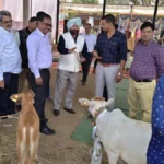 प्रदेश में पशुधन योजनाओं के बेहतर क्रियान्वयन कि सराहना की