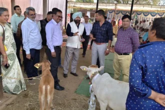 प्रदेश में पशुधन योजनाओं के बेहतर क्रियान्वयन कि सराहना की