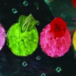 बस्तर की बिहान दीदियां घोलेंगी होली में कुदरती रंग