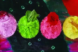 बस्तर की बिहान दीदियां घोलेंगी होली में कुदरती रंग