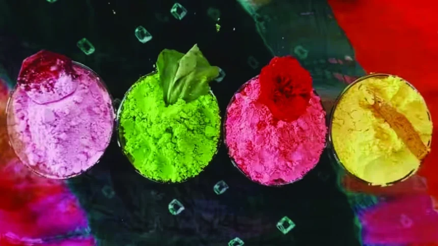 बस्तर की बिहान दीदियां घोलेंगी होली में कुदरती रंग