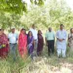 छत्तीसगढ़ को हर्बल ग्रोथ इंजन बनाने की दिशा में तेजी से काम कर रहा है बोर्ड