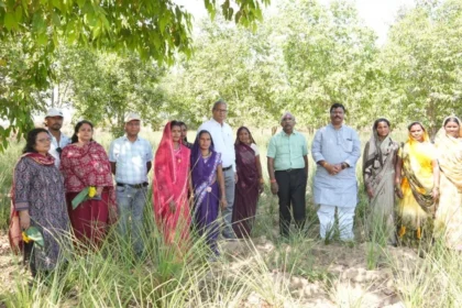 छत्तीसगढ़ को हर्बल ग्रोथ इंजन बनाने की दिशा में तेजी से काम कर रहा है बोर्ड