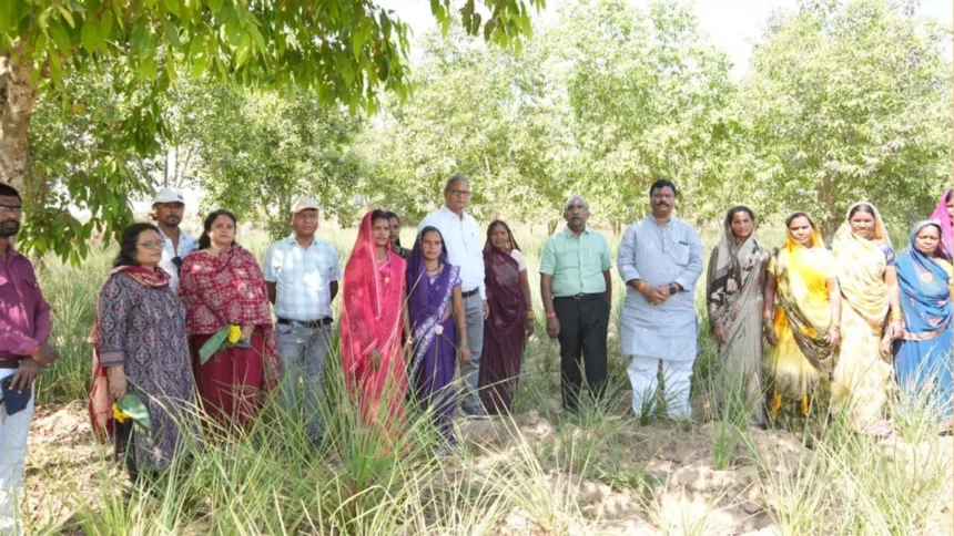 छत्तीसगढ़ को हर्बल ग्रोथ इंजन बनाने की दिशा में तेजी से काम कर रहा है बोर्ड