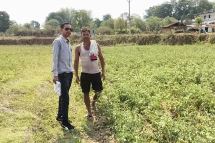 राष्ट्रीय बागवानी मिशन से किसानों को संबल : उन्नत तकनीक से टमाटर खेती में बढ़ा उत्पादन और मुनाफा