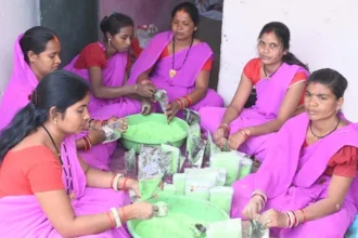 इस बार प्राकृतिक रंगों से रंगीन होगी होली : स्व सहायता समूह की महिलाएं कर रही है प्राकृतिक गुलाल का निर्माण