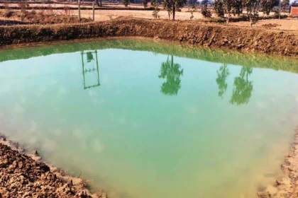 जल संरक्षण के साथ ही ग्रामीण आजीविका संवर्धन का प्रभावी माध्यम