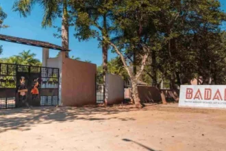 बस्तर की कला को नई ऊंचाई देने कलेक्टर आकाश छिकारा पहुंचे बादल एकेडमी, कलाकारों का बढ़ाया मनोबल