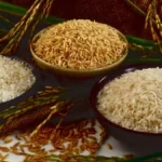 आवेदन के लिए न्यूनतम 18 वर्ष और 8वीं उत्तीर्ण अनिवार्य