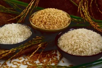 आवेदन के लिए न्यूनतम 18 वर्ष और 8वीं उत्तीर्ण अनिवार्य